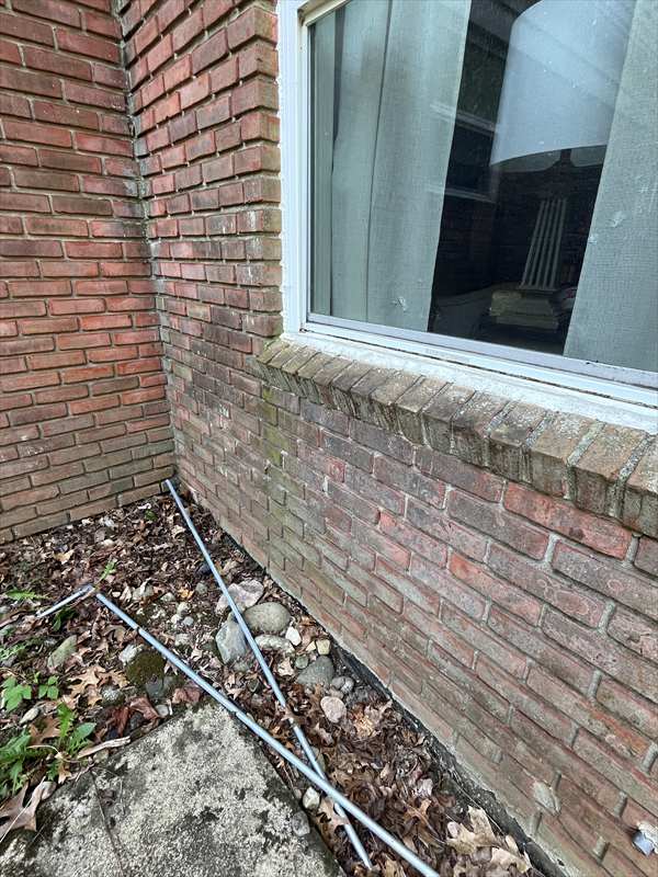 brick-cleaning (2) brick-cleaning (2)