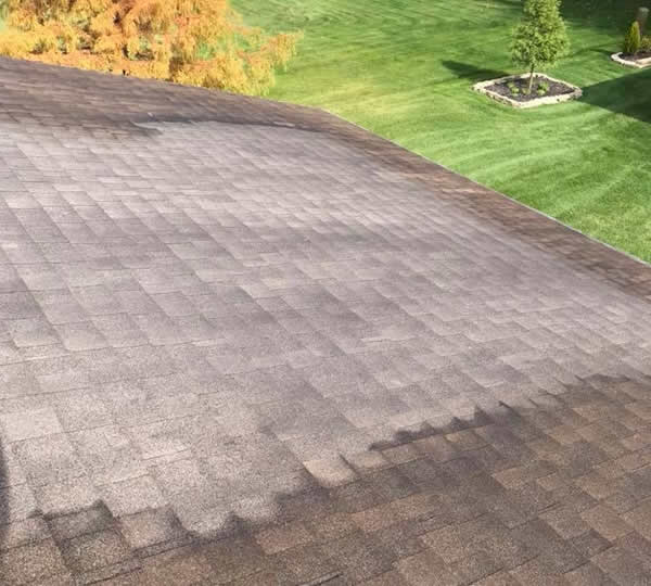 Professional Roof Soft Washing Services Novi, Michigan